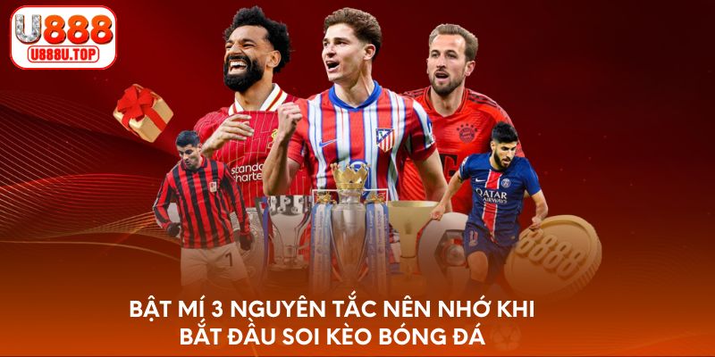 Bật mí 3 nguyên tắc nên nhớ khi bắt đầu soi kèo bóng đá